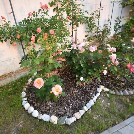 Škofljica Apartmaji Lejardin 아파트 외부 사진