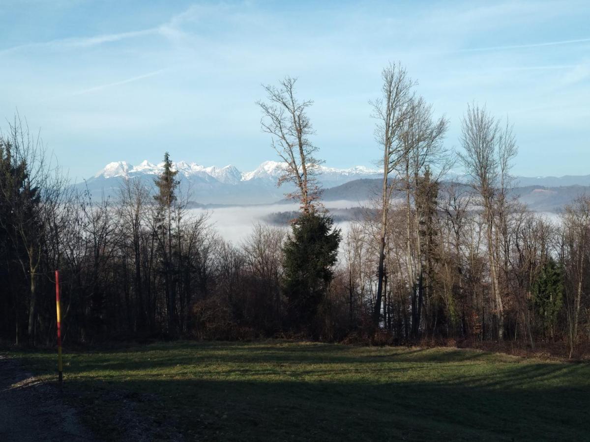 Škofljica Apartmaji Lejardin 아파트 외부 사진